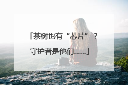 茶树也有“芯片”？守护者是他们……