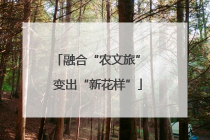融合“农文旅” 变出“新花样”