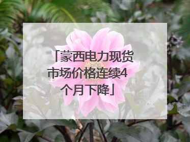 蒙西电力现货市场价格连续4个月下降