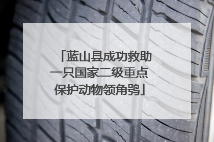 蓝山县成功救助一只国家二级重点保护动物领角鸮