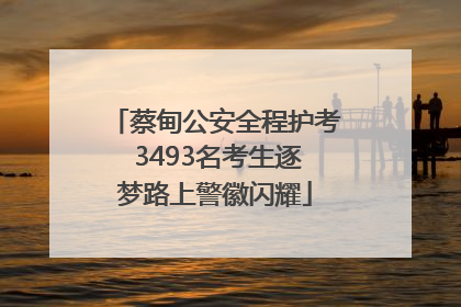 蔡甸公安全程护考 3493名考生逐梦路上警徽闪耀