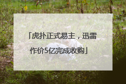 虎扑正式易主，迅雷作价5亿完成收购
