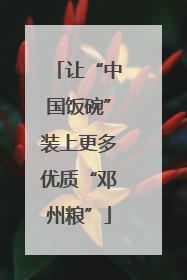 让“中国饭碗”装上更多优质“邓州粮”
