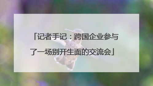 记者手记：跨国企业参与了一场别开生面的交流会