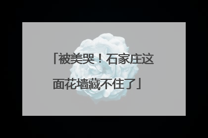 被美哭！石家庄这面花墙藏不住了
