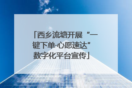 西乡流塘开展“一键下单·心愿速达”数字化平台宣传