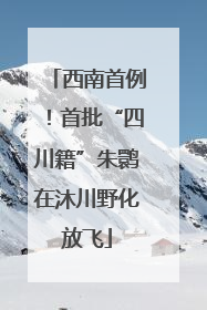 西南首例！首批“四川籍”朱鹮在沐川野化放飞