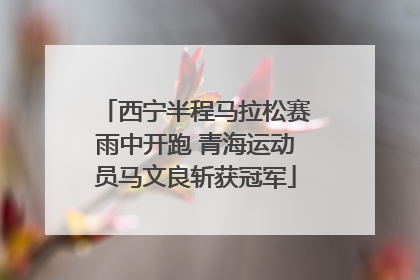 西宁半程马拉松赛雨中开跑 青海运动员马文良斩获冠军