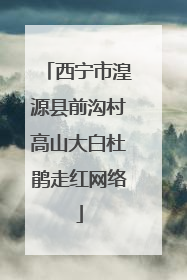 西宁市湟源县前沟村高山大白杜鹃走红网络