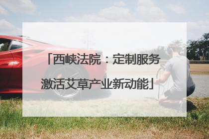 西峡法院：定制服务激活艾草产业新动能