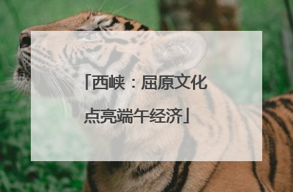 西峡：屈原文化点亮端午经济