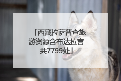 西藏拉萨普查旅游资源含布达拉宫共7799处