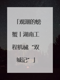 观潮的螃蟹丨湖南工程机械“双城记”