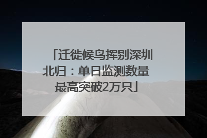 迁徙候鸟挥别深圳北归：单日监测数量最高突破2万只