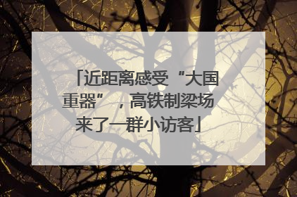 近距离感受“大国重器”，高铁制梁场来了一群小访客