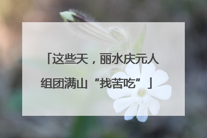 这些天，丽水庆元人组团满山“找苦吃”