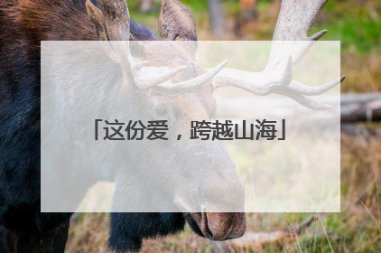 这份爱，跨越山海