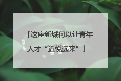 这座新城何以让青年人才“近悦远来”