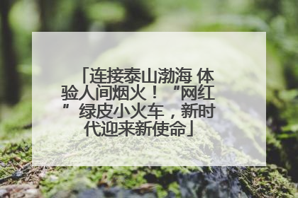 连接泰山渤海 体验人间烟火！“网红”绿皮小火车，新时代迎来新使命