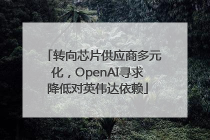 转向芯片供应商多元化，OpenAI寻求降低对英伟达依赖