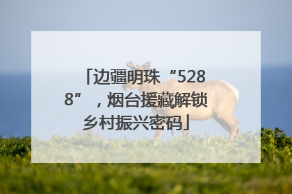 边疆明珠“5288”，烟台援藏解锁乡村振兴密码