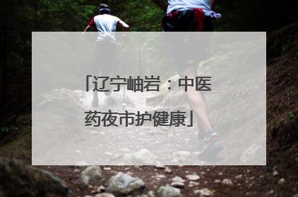 辽宁岫岩：中医药夜市护健康