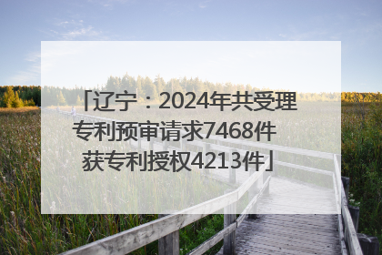 辽宁：2024年共受理专利预审请求7468件 获专利授权4213件