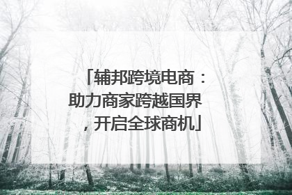 辅邦跨境电商：助力商家跨越国界，开启全球商机