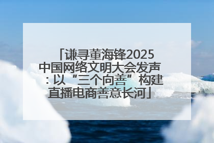 谦寻董海锋2025中国网络文明大会发声：以“三个向善”构建直播电商善意长河