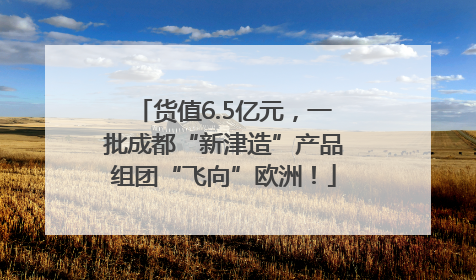 货值6.5亿元，一批成都“新津造”产品组团“飞向”欧洲！