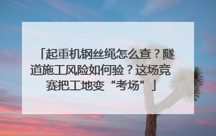 起重机钢丝绳怎么查？隧道施工风险如何验？这场竞赛把工地变“考场”