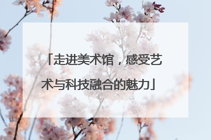 走进美术馆，感受艺术与科技融合的魅力