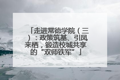 走进常德学院（三）：政策筑基、引凤来栖，锻造校城共享的“双师铁军”