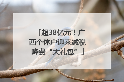 超38亿元！广西个体户迎来减税降费“大礼包”