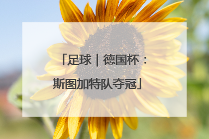 足球｜德国杯：斯图加特队夺冠