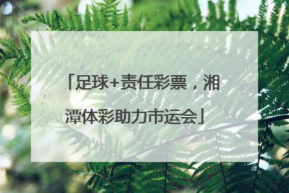 足球+责任彩票，湘潭体彩助力市运会