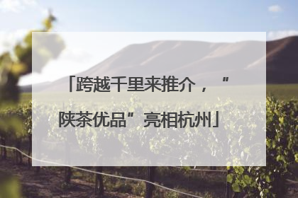 跨越千里来推介，“陕茶优品”亮相杭州