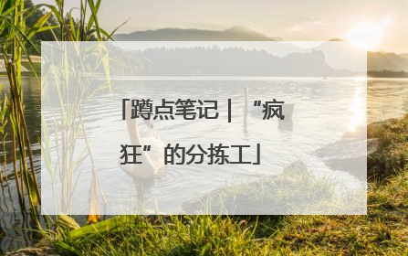 蹲点笔记｜“疯狂”的分拣工