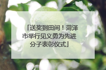 送奖到田间！菏泽市举行见义勇为先进分子表彰仪式