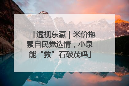 透视东瀛｜米价拖累自民党选情，小泉能“救”石破茂吗