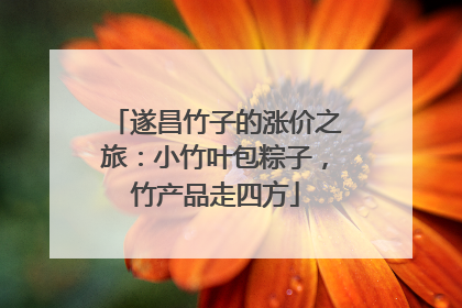 遂昌竹子的涨价之旅：小竹叶包粽子，竹产品走四方