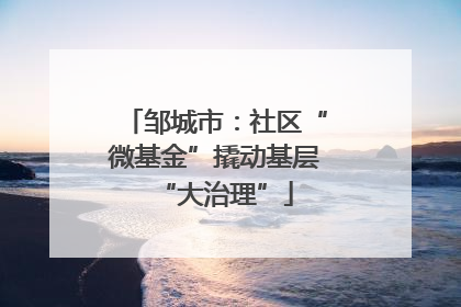 邹城市：社区“微基金”撬动基层“大治理”
