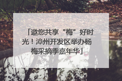 邀您共享“梅”好时光！漳州开发区举办杨梅采摘季嘉年华