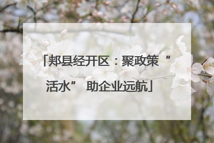 郏县经开区：聚政策“活水” 助企业远航