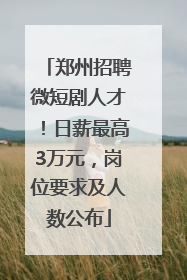 郑州招聘微短剧人才！日薪最高3万元，岗位要求及人数公布