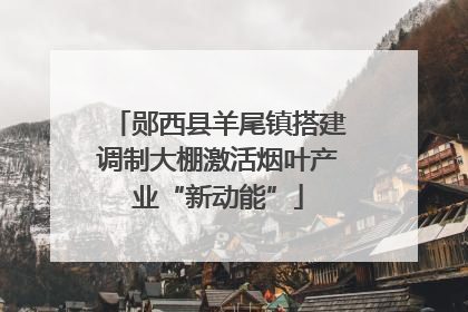 郧西县羊尾镇搭建调制大棚激活烟叶产业“新动能”