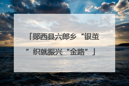 郧西县六郎乡“银茧”织就振兴“金路”
