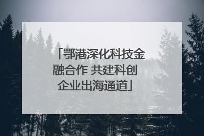 鄂港深化科技金融合作 共建科创企业出海通道