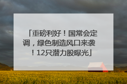 重磅利好！国常会定调，绿色制造风口来袭！12只潜力股曝光