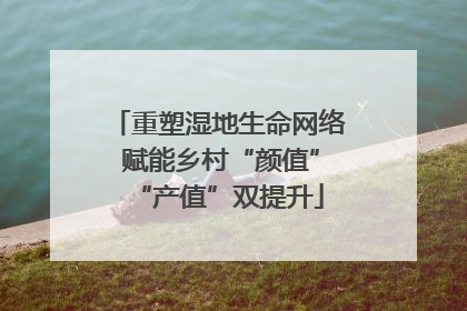 重塑湿地生命网络 赋能乡村“颜值”“产值”双提升